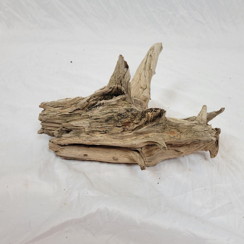 Ohio River Driftwood 13"x12.5"x7.5"